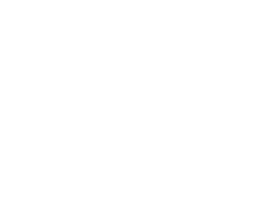 Project BBQ