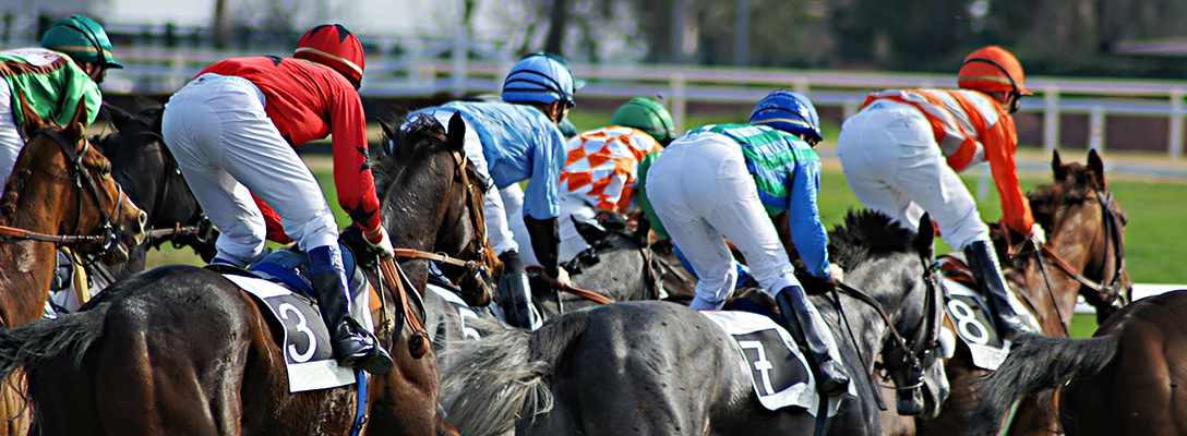 Jockeys Racing in Horse Race for Sports Betting