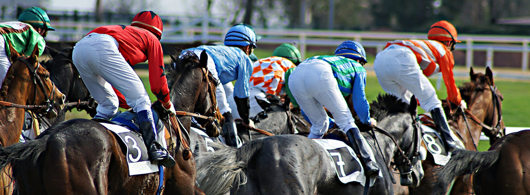 Best Horse Racing Tips App