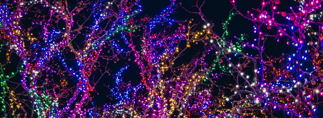 Trees with Holiday Lights in Las Vegas