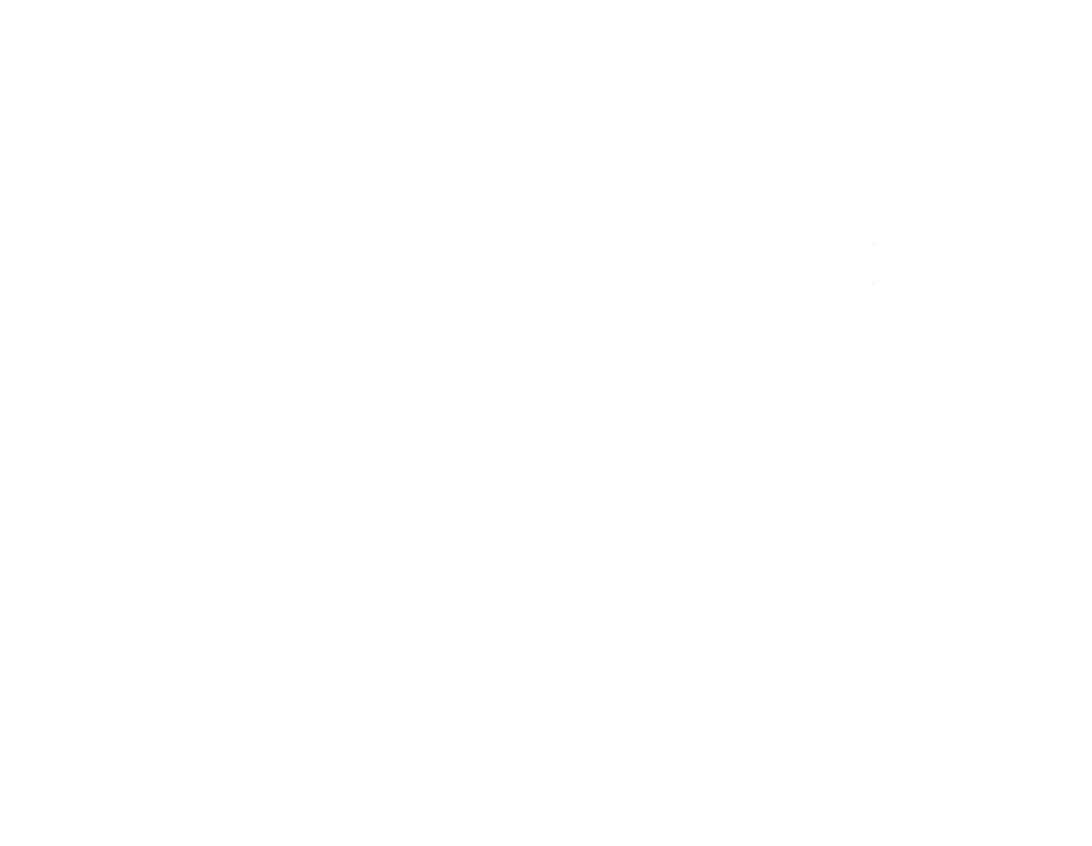 Project BBQ Logo