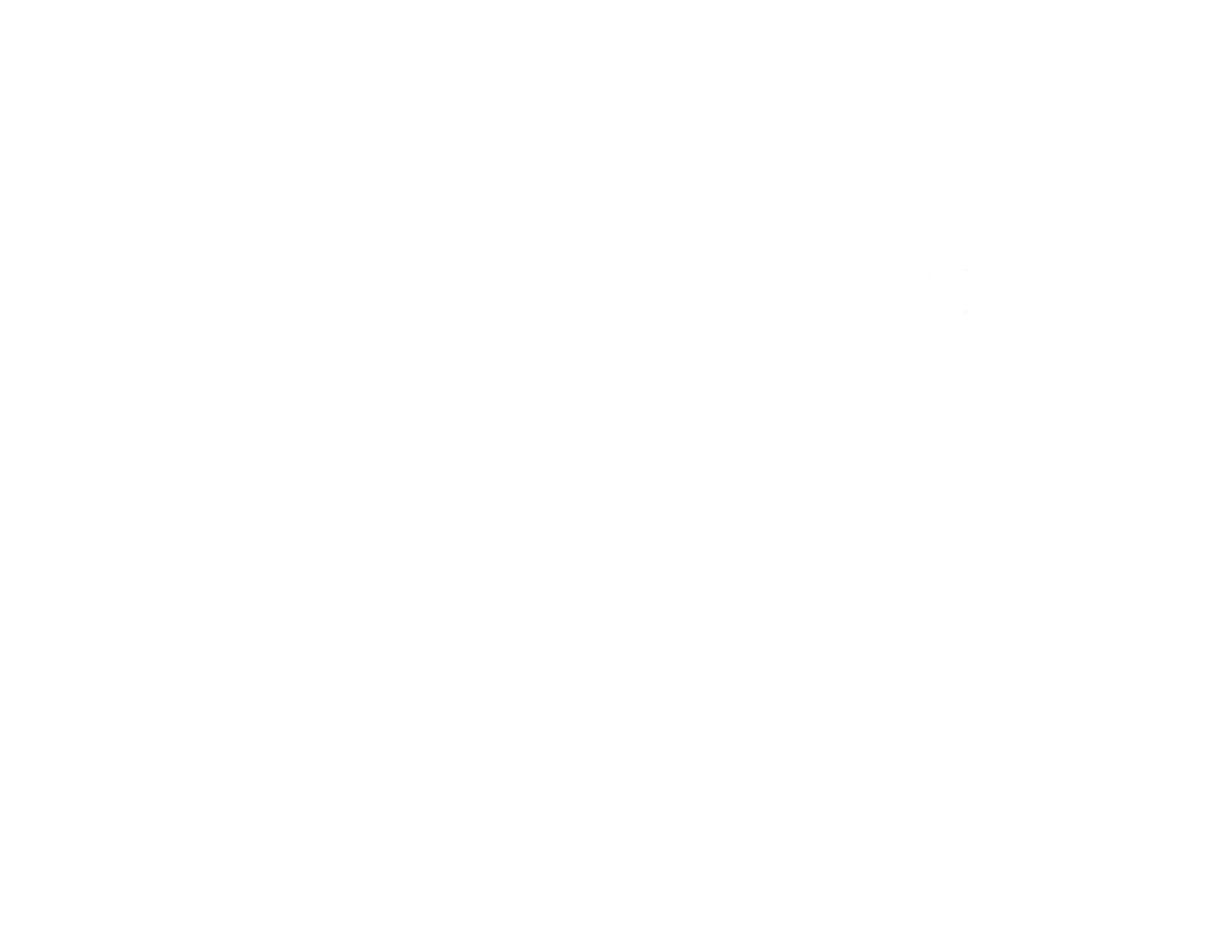 Project BBQ