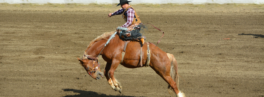 Competitor Riding Horse in the NFR Las Vegas