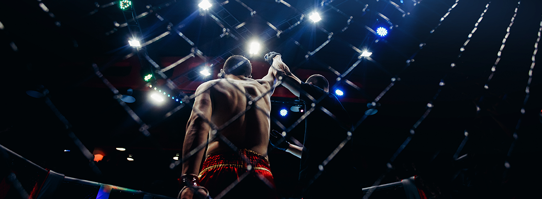 Victorious MMA Fighter after Match