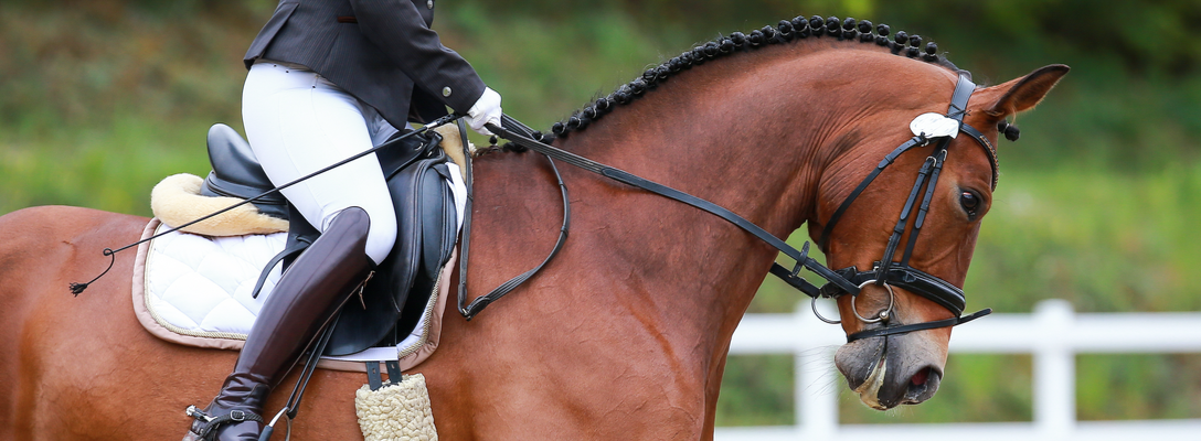 Dressage Rider Performing in Competition