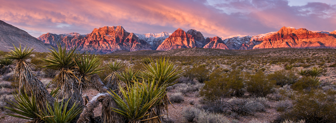 Sunset at Red Rock Canyon in Nevada